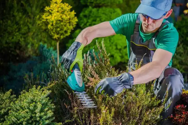 landscaping services Shorewood-Tower Hills-Harbert